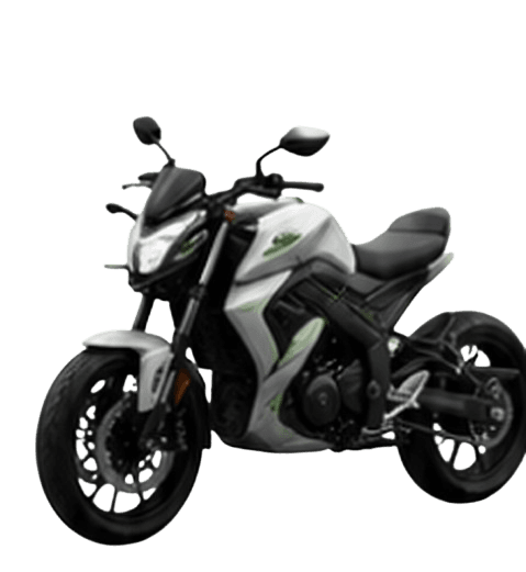 RX CPX Pro electric bike